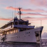 Charter Galápagos