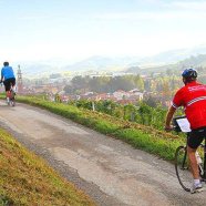 Bicicleta & Caminhada