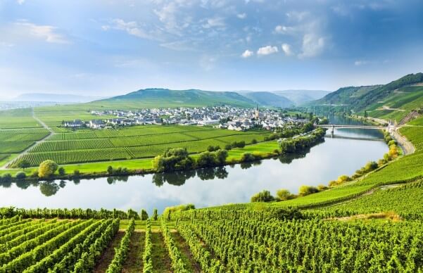 2-vinhos-vale-do-mosel-alemanha