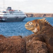 Diário de bordo Galápagos