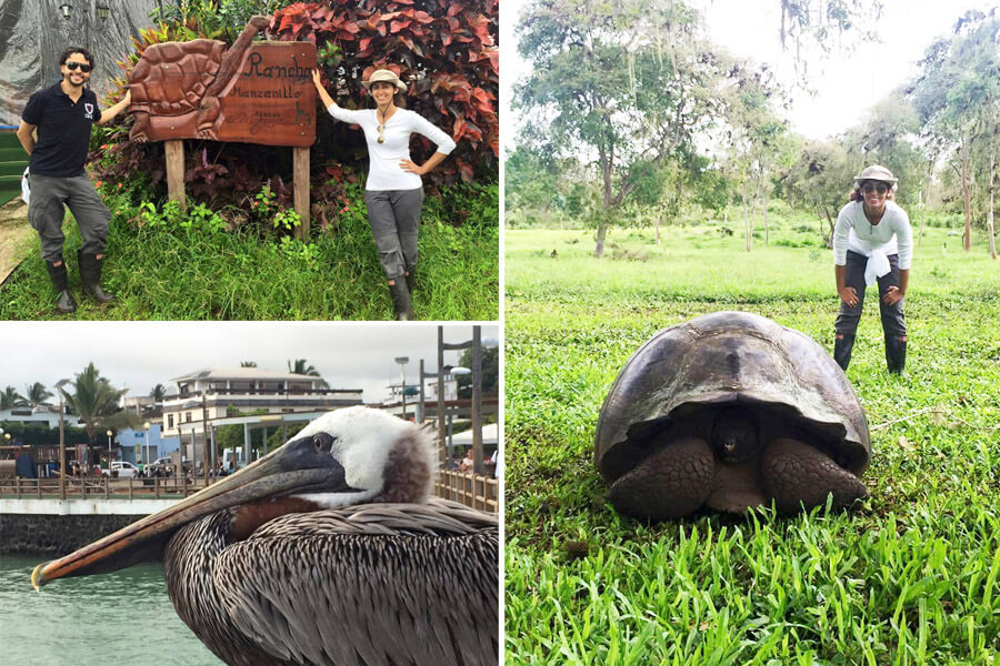 galápagos 7 dia