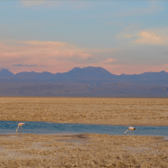 Atacama